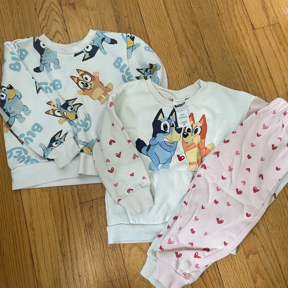 Toddler Bluey Sweatshirt Set - White, Pink, Blue - Size 2T